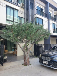 Décor d'intérieur de restaurant à <span class=keywords><strong>prix</strong></span> d'usine 4m de grands arbres ornementaux artificiels <span class=keywords><strong>olivier</strong></span> artificiel - Product Image 3