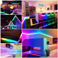 Vente directe d'usine, bande LED néon Pixel Flex, DC5V, contrôle par application USB, intelligent, RGBIC RGBW, lumière néon couleur pleine, IP65
