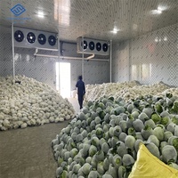 Fruit- en groentekoelcel met aanpasbare binnenkant gegroefde koperen buis, ontdooiing, koeling, verdamper