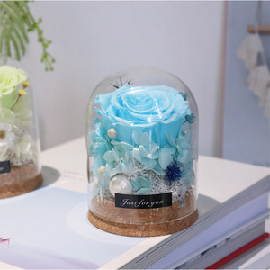 Cúpula de Cristal de Alta Gama con Rosas Preservadas, La Bella y la <span class=keywords><strong>Bestia</strong></span>, Flor Eterna Perfecto para el Dí<span class=keywords><strong>a</strong></span> de San Valentín, Dí<span class=keywords><strong>a</strong></span> de la Madre - Product Image 1