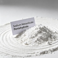 Métasilicate de sodium pentahydraté CAS 10213-79-3 Poudre de qualité industrielle pour le traitement de l'eau et l'industrie du bâtiment