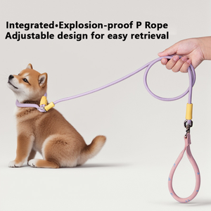 Şok Önleyici Dayanıklı Naylon Köpek Tasması Eğitim ve Yürüyüş İçin - Uzatılabilir Tasarım - Product Image 1