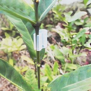 Wholesale Price Clear Silicone Grafting <b>Spring</b> <b>Clips</b> to Graft Tomatoes - Product Image 2