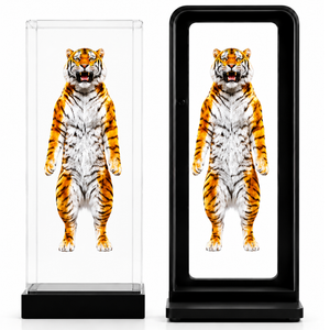 จอแสดงผลโฆษณาแบบพัดลมโฮโลแกรม 3 มิติ |   หน้าจอโฮโลแกรม LED แบบซิงโครไนซ์ 3 ชิ้น ขนาด 1557×645 มม. - Product Image 1