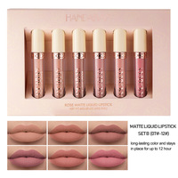 Produk Laris Lintas Negara Handaiyan 6-Piece Waterproof Non-Stick Matte Rose Mineral Lip Gloss Liquid Lipstick Set Grosir
