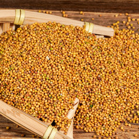 Yulin Spice vente en gros de graines de moutarde jaune sèche en vrac graines de moutarde alimentaire à grains crus naturels