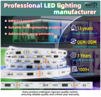 Bande LED en cuivre adressable CE ROHS FCC DMX512 SMD5050 RGBW 60 LED 24V 10mm 12mm 18W/m IP67 avec télécommande USB pour aménagement paysager