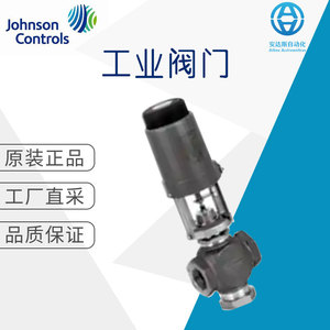 วาล์วควบคุมการไหลของน้ำและไอน้ำแบบเกลียวในรุ่น VG7000 ของ Johnson Controls สำหรับอุณหภูมิปกติ - Product Image 5