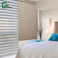 Stores intelligents personnalisés de nouveau Style avec Tuya Wifi Zigbee Google Voice, Alexa Smart Electric Shangri-la Roller Sheer Stores Rideau