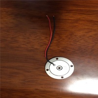 Sensor Piezo Vibrator Piezoelektrik Keramik Pzt 4 Harga Terbaik