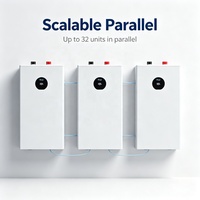 Batterie Lithium Deye 51.2V 314Ah à décharge profonde 16kWh, pack de batteries lithium-ion, prend en charge la charge maximale. 32 pièces en parallèle