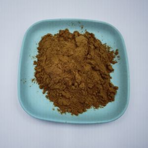 Bột <span class=keywords><strong>Bupleurum</strong></span> Chiết xuất rễ cây Thổ Nhĩ Kỳ tự nhiên 10:1 Chiết xuất <span class=keywords><strong>Bupleurum</strong></span> - Product Image 3