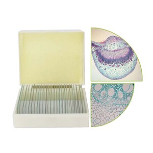 Medizinische Lehrmittel Lehrmittel Biologie Artikel Student Botanik Stiel Mikroskop vorbereitet Objektträger für die Universität - Product Image 4