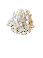 Vente directe usine – Galets décoratifs blancs en dolomite pour jardins, cours arrière, parcs – Galets écologiques et adaptés aux poissons