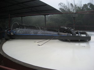 DAF Flotación por aire disuelto Traitement 100m3/hora korft Planta de Tratamiento de Agua textil industrial reutilización de agua - Product Image 2