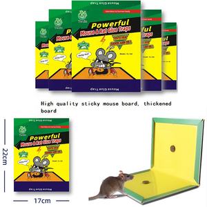 Cina produttore domestico buon prezzo trappola per topi trappola per topi cattura trappole per animali cattura colla per topi soddisfa diverse esigenze - Product Image 6
