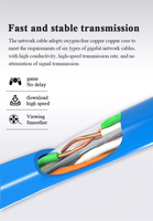 Cable Ethernet UTP CAT6A de 2 Conductores 100% Cobre OWIRE - 0.4mm (23AWG) en Varias Longitudes