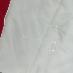Chaqueta de plumón personalizable para hombre para actividades al aire libre de invierno de alta calidad a prueba de viento impermeable con logotipo de tela tejida unida - Product Image 6