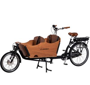<strong>Nexus</strong> 3 Speeds Cargo 2021 Clamber Cargo Bike Bike Bicycle Electric for Adult Brand 2 Wheel Steel Lithium Battery <strong>LCD</strong> Brushless - Product Image 2