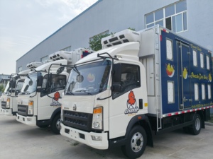 Trasporto di bestiame di pollame pulcino anatroccolo maialino giovane Baby Poussin a temperatura costante camion - Product Image 2