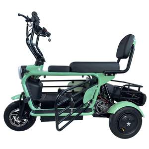 รถสามล้อไฟฟ้าสำหรับผู้ใหญ่ 800W มอเตอร์ฮับหลัง 3 ล้อ โครงเหล็ก ยางใหญ่ 3 สปีด 48V 20Ah สำหรับขายส่ง - Product Image 1