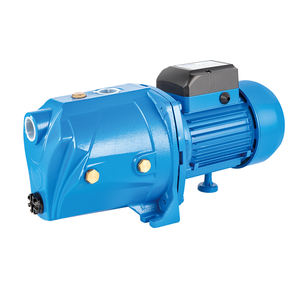 Fabricant Pompa Supply <span class=keywords><strong>JSP</strong></span> 1HP Pompes de surface Prix de vente Jet 0.75kW <span class=keywords><strong>Auto</strong></span> Suck <span class=keywords><strong>Auto</strong></span>-amorçante Vente Moteur électrique Pompe à eau - Product Image 5