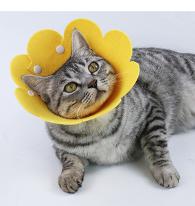 Collar Isabelino para Gatos y Perros con Diseño de Girasoles, para Prevención de Lamido, Collar de Protección Post-Esterilización y Anti-Mordeduras - Product Image 4