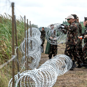 Alambre de púas tipo <span class=keywords><strong>concertina</strong></span> de 90 cm de diámetro y 30 cm de ancho - Product Image 5