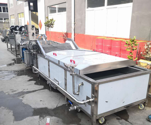 Machine de Blanchiment Automatique PLC en Acier Inoxydable 304 de Haute Qualité à Prix d'Usine pour le Traitement des <span class=keywords><strong>Fruits</strong></span> <span class=keywords><strong>et</strong></span> <span class=keywords><strong>Légumes</strong></span> à Faible Consommation - Product Image 4