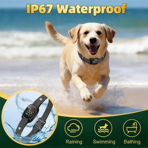 <span class=keywords><strong>Collar</strong></span> Antiladridos Inteligente Recargable a Prueba de Agua IP67 con Logotipo Personalizado de Proveedor Certificado BSCI, Automático y Sin Descargas Eléctricas para Perros - Product Image 4