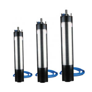 Motor Sumergible <span class=keywords><strong>Aquavita</strong></span> de Acero Inoxidable 304, 2850 RPM, 50/60Hz CA/CC, Alta Eficiencia, Bajo Ruido, Estándar NEMA para Riego - Product Image 2