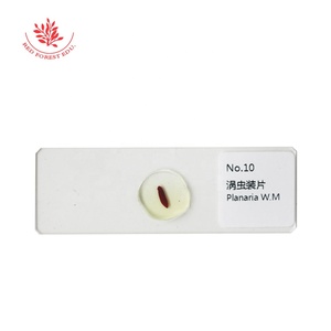 Preparación de Portaobjetos de Microscopio para Parásitos Médicos, 25 Tipos de Especímenes de Biología de Parásitos, Portaobjetos de Parásitos Reales Transparentes - Product Image 4