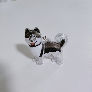 Boîte de rangement transparente en plastique pour poils de <span class=keywords><strong>chiot</strong></span> avec pendentif Westie de dessin animé pour la décoration intérieure de voiture et ornement suspendu - Product Image 5