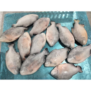 Pescado Rojo Pomfret, Precio del Pescado Pompano Rojo Entero y Redondo, Pescado Pomfret Congelado IQF, <span class=keywords><strong>Pacu</strong></span> Rojo - Product Image 3