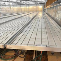 Banco de Cultivo Móvil con Ruedas para Invernadero, de Fácil Instalación, Doble Capa, Grande, 4x8 pies, para Semilleros e Hidroponía