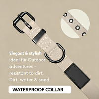 Collier pour chien en sangle enduite de PVC imperméable avec boucle ardillon et œillets métalliques, réglable, durable et facile à nettoyer pour chiens de petite, moyenne et grande taille