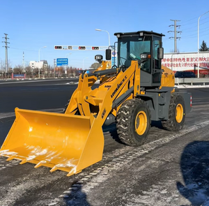 รถตักล้อยางสำหรับงานอุตสาหกรรม วัสดุทนสนิม ฟังก์ชันหลากหลาย เครื่องยนต์แรงบิดสูง ลูกปืนแบบปิดผนึก - Product Image 1