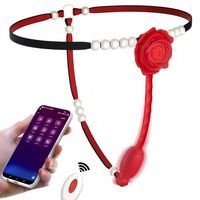 Vibrateur portable pour femmes, jouet sexuel pour adultes, mini-vibrateur à commande par application, jouet sexuel pour culotte
