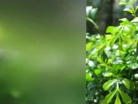 <strong>Frosted</strong> <strong>Film</strong> for Door Window of Privacy for Bathroom Office Glass <strong>Film</strong> - Product Image 4