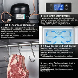 Refrigerador <span class=keywords><strong>Vertical</strong></span> para Carnicería, de Acero Inoxidable, con Temperatura Simple/Doble, para Colgar Carne - Product Image 5
