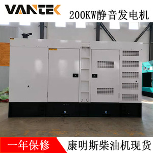 เครื่องกำเนิดไฟฟ้าดีเซลแบบเงียบ Jiangsu Wantai 200 กิโลวัตต์ 230/400 โวลต์ 50 เฮิรตซ์ พร้อมระบบควบคุมแรงดันไฟฟ้าอัตโนมัติ - Product Image 4