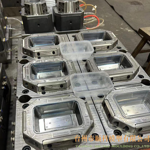 مصنع صنع قالب مخصص احترافي قالب حقن البلاستيك من البلاستيك من من من أجل - Product Image 1