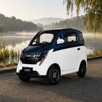 Voiture électrique miniature de haute qualité à 4 roues, cabine fermée, 2 places, voitures électriques entièrement fermées, scooters de mobilité entièrement fermés