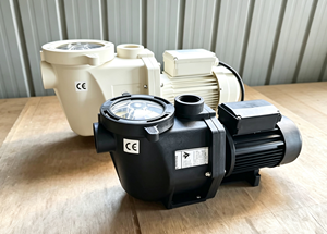 0.5hp 1hp 2hp Factory Price Inground Single Phase <b>Electric</b> Swimming Pool <b>Pump</b> for Sea <b>Water</b> IP55 - Product Image 5