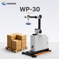 Robot de palettisation collaboratif WP-30 Cobot Palettiseur de caisses Précision de 0,04 mm Bras robotique Système d'emballage à la fin de ligne