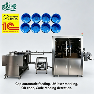 Machine de marquage laser automatique pour le codage QR des bouchons de bouteilles avec inspection visuelle, conforme aux normes russes Chestny Znak et ASL BELGISI - Product Image 4
