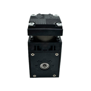 Chất lượng cao Bơm Piston nhỏ cho các ứng dụng nước biển trực tiếp cung cấp Nhà sản xuất chuyển tích cực DC động cơ máy bơm - Product Image 2