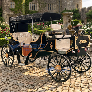 Chariot de chevaux de mariage en promotion : Fabricant de chariots de chevaux Victoria électriques pour la décoration et le tourisme - Product Image 1