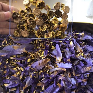 ชาสมุนไพรดอกบัวสีน้ำเงินแห้งทำมือจากธรรมชาติ  กลีบดอกบัวสีน้ำเงินแห้งสำหรับขาย - Product Image 5
