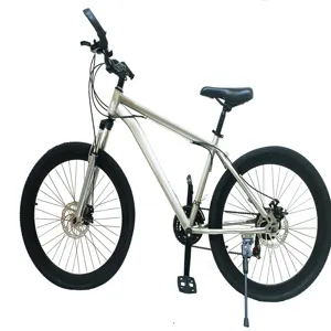 전기 산악 자전거 알루미늄 합금 포크 일반 페달을 위한 뜨거운 판매 무거운 의무 탄소 자전거 프레임
